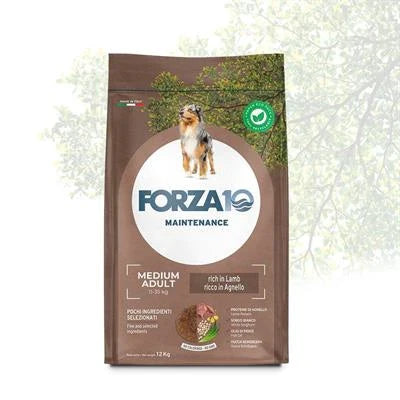 cibo secco per cani FORZA 10 MEDIUM MANTENIMENTO AGNELLO/RISO KG 12 NEW