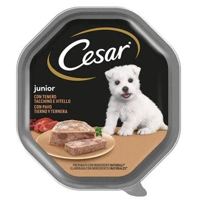 CIBO UMIDO PER CANI CESAR LIFESTAGE JUNIOR TENERO TACCHINO/VITELLO 14 X GR 150