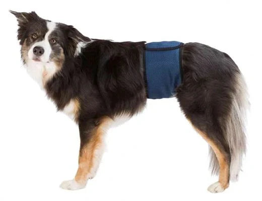 Igiene Per Cane TX FASCIA IGIENICA PER CANI MASCHI TG XL BLU SCURO
