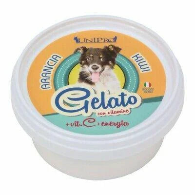 cibo umido per cani GELATO ARANCIA/KIWI GR 60